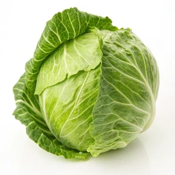 Cabbage, Green, Raw