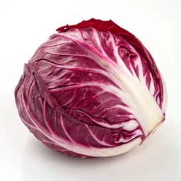 Cabbage Red