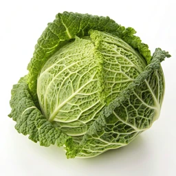 Cabbage, Savoy, Raw