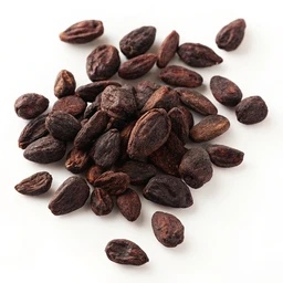 Cacao Nibs by Navitas