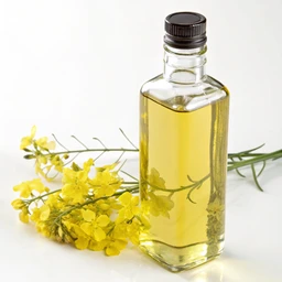 Canola oil