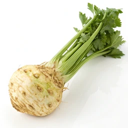 Celeriac (celery root), raw