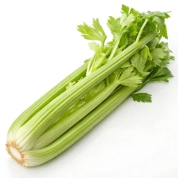 Celery, Raw