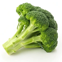 Central Market Organics Broccoli by Heb