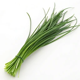 Chives