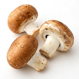 Crimini Mushrooms