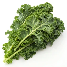 Curly Kale