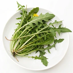 Dandelion Greens, Raw