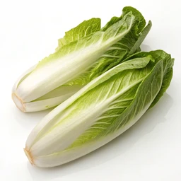 Endive Raw