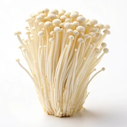 Enoki Mushroom by Jongilpoom