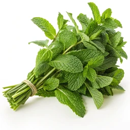 Fresh Food Mint Bunches by Tesco