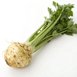 Fresh Food Vegetables Root Celeriac (loose) by Sainsbury's