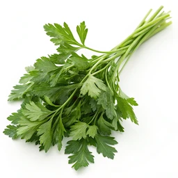 Fresh Parsley (for flavoring only)
