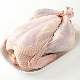 Frozen Young Turkey Whole Raw