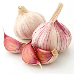 Garlic, Fresh