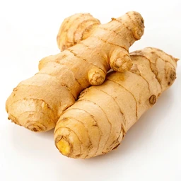 Ginger