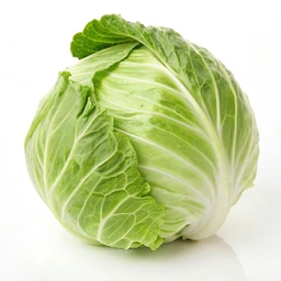 Green Cabbage