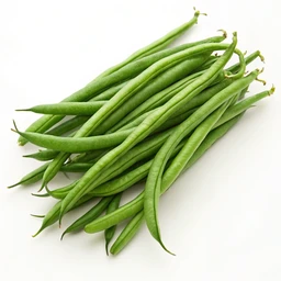 Haricots Verts Green Beans