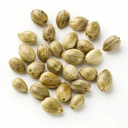 Hemp Seeds Shelled Or Hulled