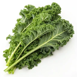 Kale, raw