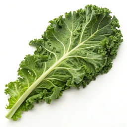 Kale