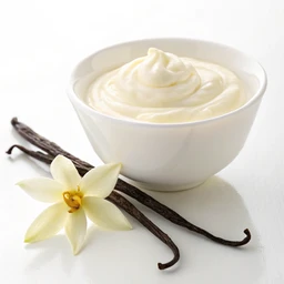 Keto-Friendly Vanilla Yogurt