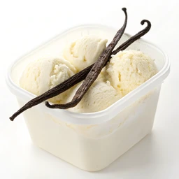Keto No-Churn Vanilla Bean Ice Cream