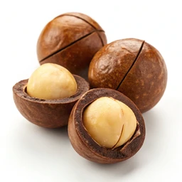 Macadamia Nuts, Raw