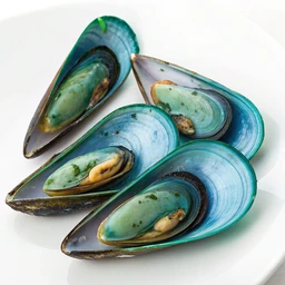 Mollusks Mussel Blue Raw