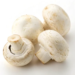 Mushrooms White Raw
