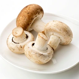 Mushrooms