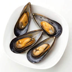 Mussel, Raw