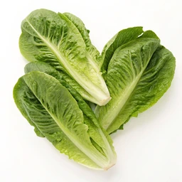 Organic Hearts Of Romaine by Fresh Express