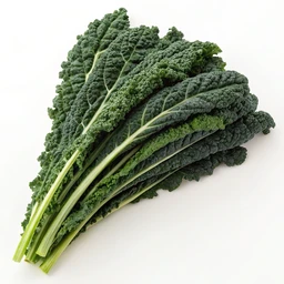 Organic Lacinato Kale