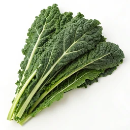 Organic Tuscan Kale by Organics
