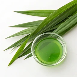Pandan Extract