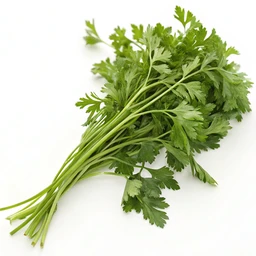 Parsley, dried