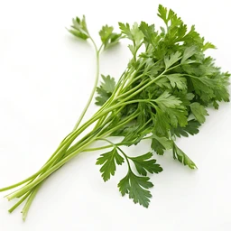 Parsley