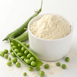 Pea Protein Powder