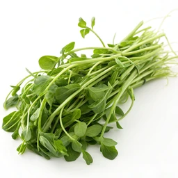 Pea Shoots by Morrisons