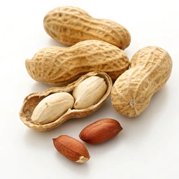 Peanuts