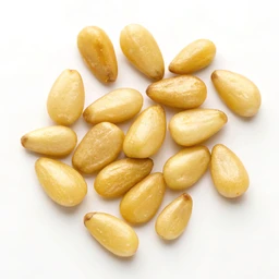 Pine Nuts, Pignolias