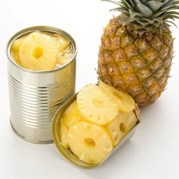 Pineapple, canned in juice, drained
