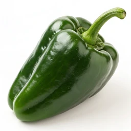 Poblano Pepper Fresh