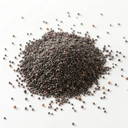 Poppy Seeds Or Poppyseeds