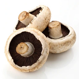 Portabella Mushrooms