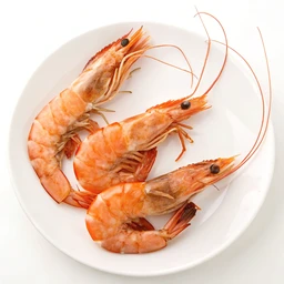 Mixed Seafood (Scallop/ Squid/prawns)