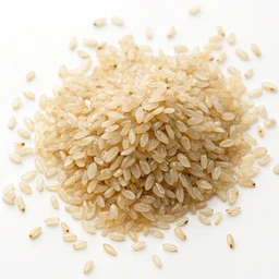 Psyllium seeds