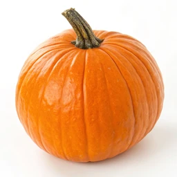 Pumpkin Pie Spice
