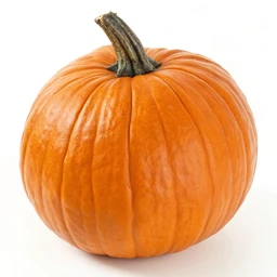 Pure Pumpkin by Ed Smith